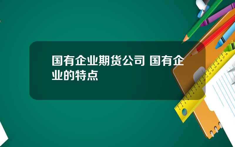 国有企业期货公司 国有企业的特点